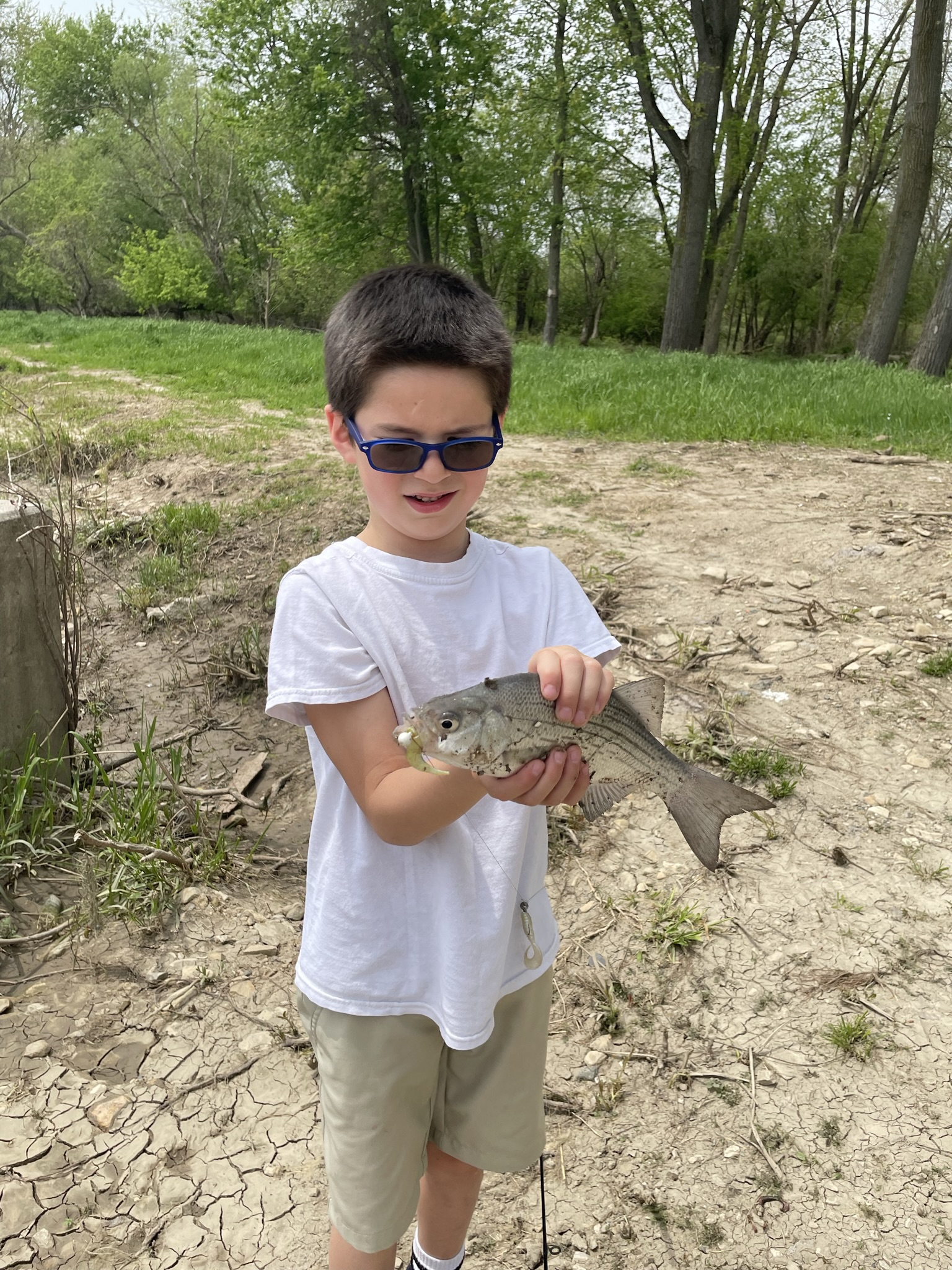 Maumee river report 18may 23