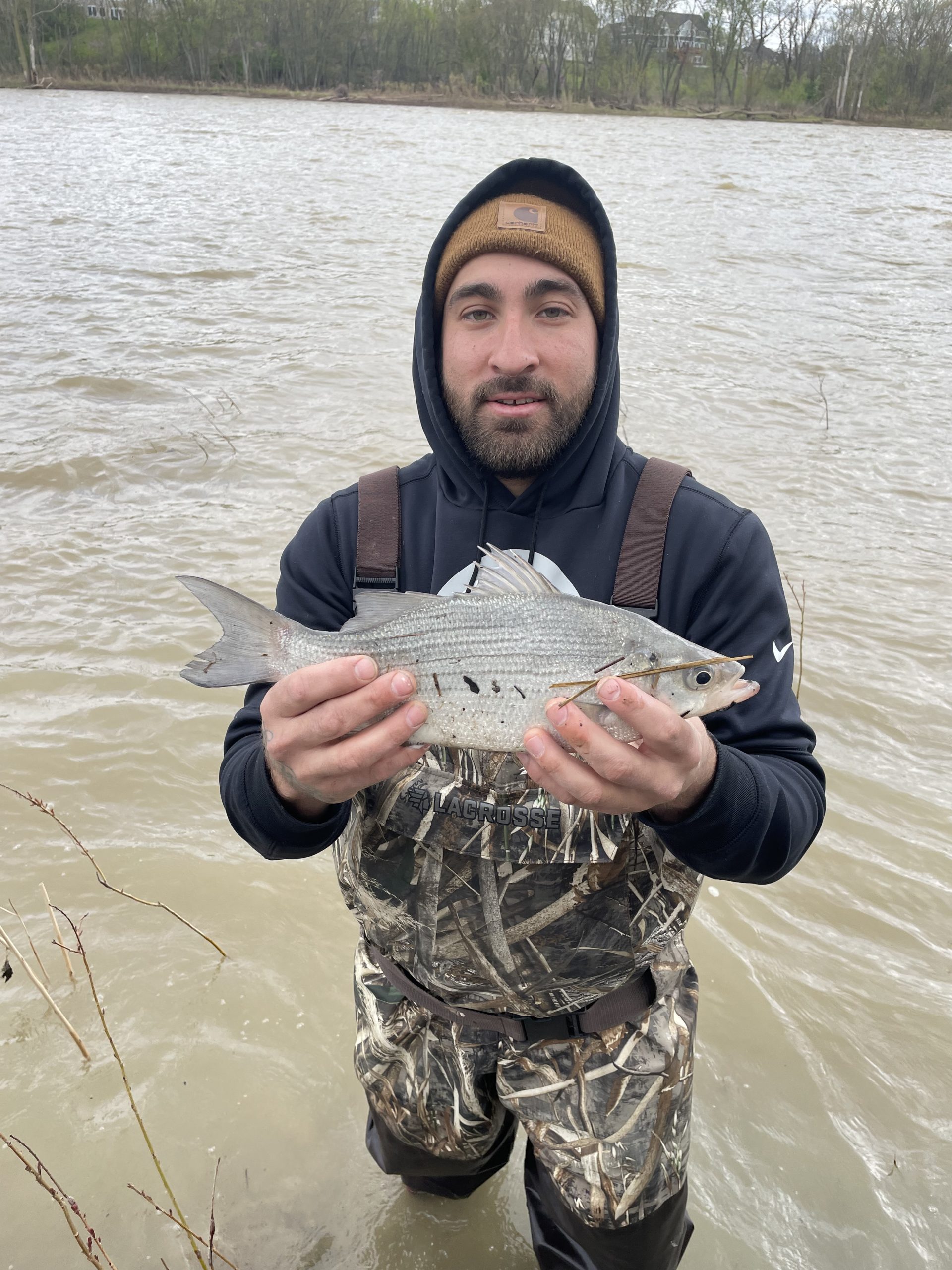 Maumee river report-26 april 24