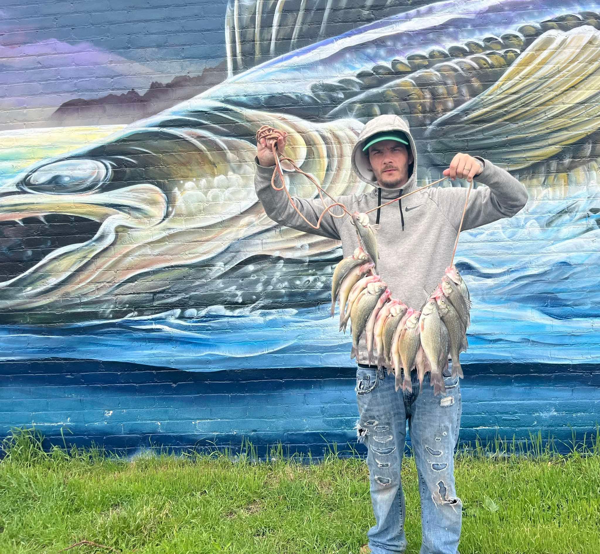 maumee river report- 4th of july 2026